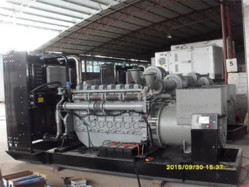 Perkins Diesel Generator, PK36300