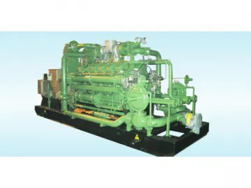 Diesel Ignites Low Concentration Gas Generator Set