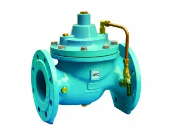 A300 Slow Control Check Valve