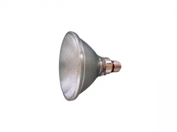 PAR38 LED Spotlight