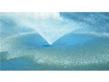 Spraying Aeration Floating Pump