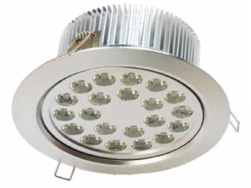 LED Ceiling Light