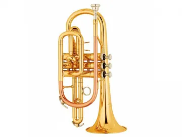 Cornet