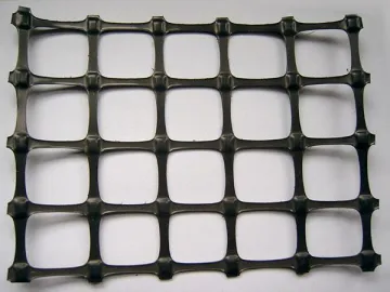 Geogrid