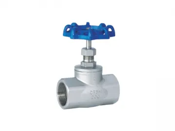 Globe Valve