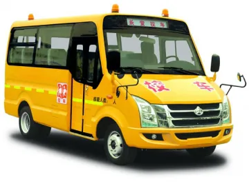 10-20 Seat School Bus