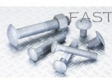 Carriage Bolt