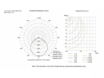 LED Linear Light (Outdoor), CV8H