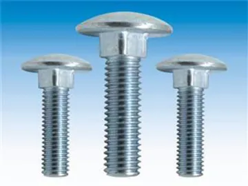 Stainless Steel Carriage Bolts