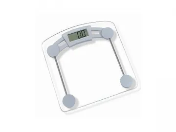 Digital Body Scale