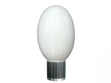 Induction Light Bulb