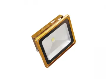 50W LED Floodlight