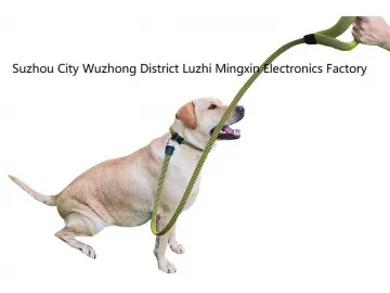 Dog Leash and Collar (Patented in EU, China)