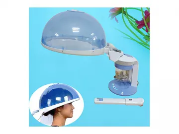 Hair and Facial Steamer