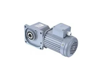 SZG-F Medium Right Angle Gear Motor