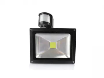 LED Flood Light