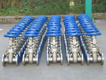 Super Austenitic Stainless Steel Valves