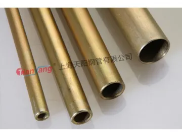 DIN/EN Cold Drawn &amp; Cold Rolled Galvanized Steel Tube with High Precision