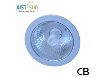 CCFL Downlight