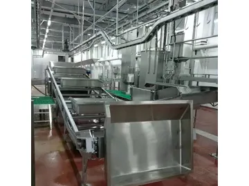 Cattle Slaughtering Line in Australia