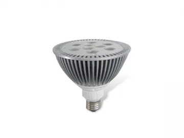 PAR38 LED Spotlight