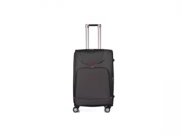 Cabin Luggage / Cabin Baggage