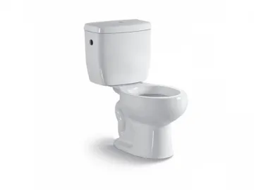 Two Piece Toilet