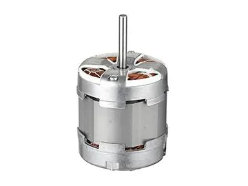 Juice Extractor Motor