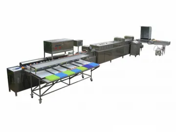 302AS  Egg Processing  Line with Cleaning &amp; Grading (10000 EGGS/HOUR)