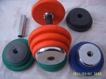 Rubber/Plastic Coated Cast Iron Dumbbell