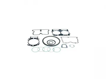 Seals &amp; Gaskets (Oil Seal &amp; Gasket Set)