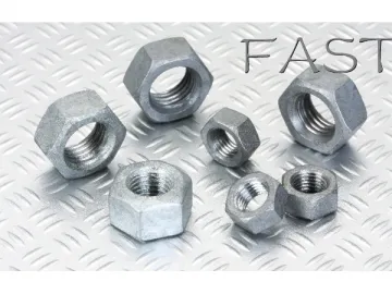 Hex Nut