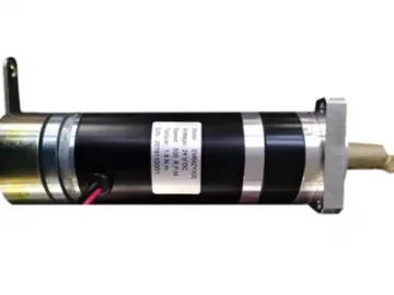 Planetary Gearmotor