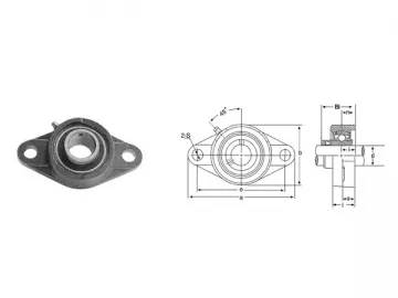 UCFL300 2 Bolt Flange Bearing Units