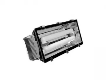 102 Series Induction Tunnel Light