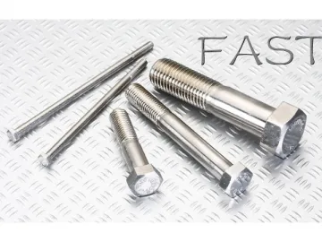 Stainless Steel Bolt