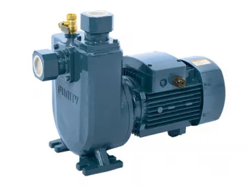 PZ series Self-Priming Pump for Clean Water