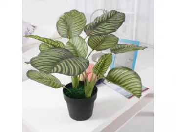 Artificial Calathea