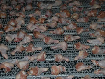 Poultry Products Freezing System