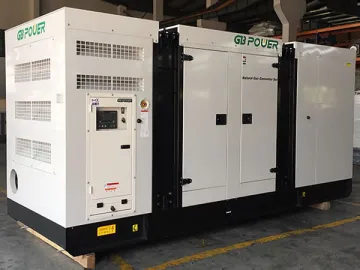 Natural Gas Generator Set