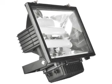 003 Series Induction Flood Light