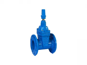 BS-GBCX GBHX-AT AR Gate Valve