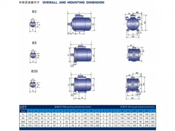 Electric Motor, YL Series