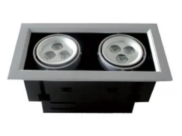 Double Head LED Grille Light