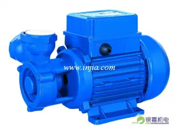 Regenerative Pump SKF