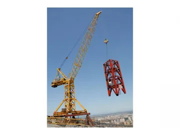 WQ100 Luffing Jib Crane