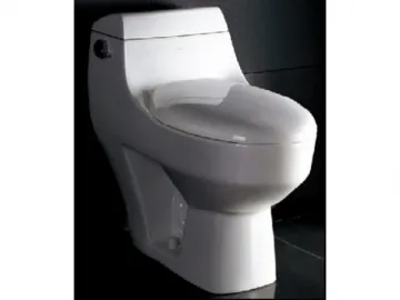 One Piece Toilet