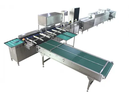 302B Duck Egg Processing Line with Water Bath Loading &amp; Washing &amp; Grading (10,000 EGGS/HOUR)