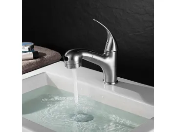 Sink Faucet  SW-BFP001