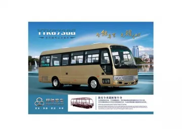 City Bus YTK6730G